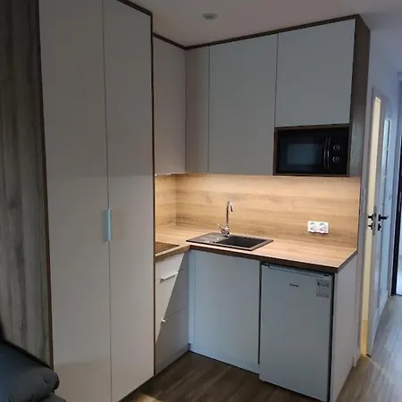 U Dziubasków Apartament Ustroń