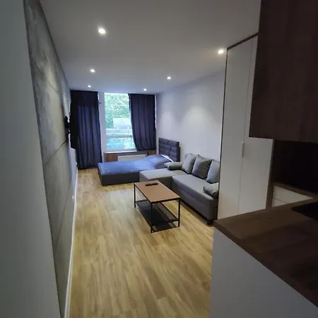U Dziubasków Apartament *