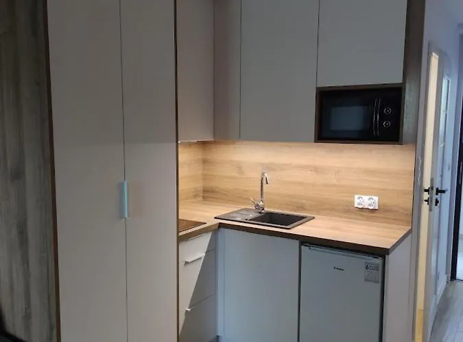 U Dziubaskow アパート ウストロン